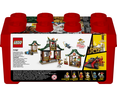 LEGO Ninjago Loominguline ninjaklotsikast