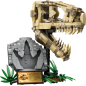 LEGO Jurassic World Dinosauruse Dinosaur Fossils: T. rex Skull