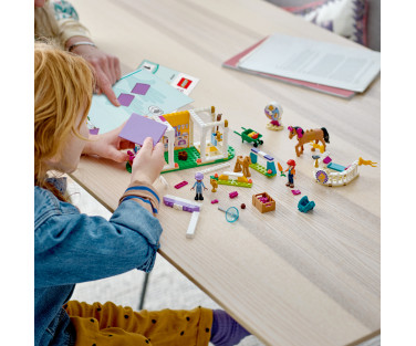 LEGO Friends Horse Training