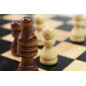 Tactic Collection Classique Chess