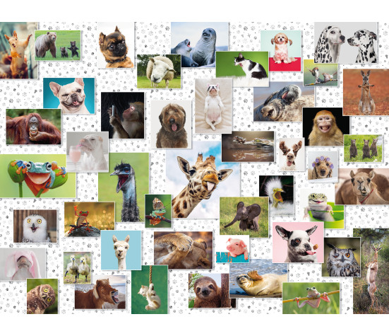 Ravensburger Puzzle 1500 pc Funny Animals Collage