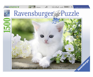 Ravensburger puzzle 1500 pcs White kitten