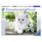 Ravensburger pusle 1500 tk Valge kassipoeg