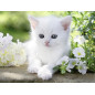 Ravensburger puzzle 1500 pcs White kitten