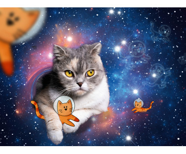 Ravensburger Puzzle 1500 Pc Space cats