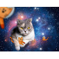 Ravensburger Puzzle 1500 Pc Space cats