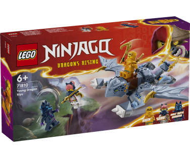 LEGO Ninjago Noor Draakon Riyu