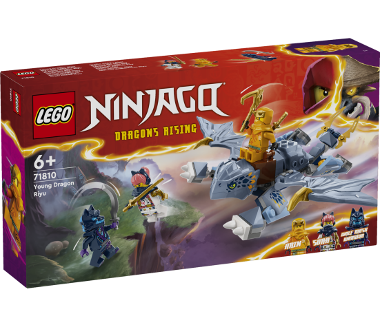 LEGO Ninjago Young Dragon Riyu