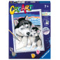 Ravensburger Paint by Numbers Cute Huskies