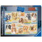 Ravensburger Puzzle 1000 pc Obedient Dogs