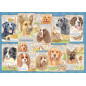 Ravensburger Puzzle 1000 pc Obedient Dogs