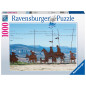 Ravensburger pusle 1000 tk Camino de Santiago