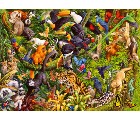 Ravensburger Puzzle 200 pc Tropical Rainforest