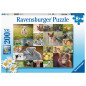 Ravensburger Puzzle 200 pc Baby Animals