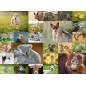 Ravensburger Puzzle 200 pc Baby Animals