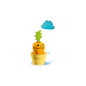 LEGO DUPLO A Growing Carrot