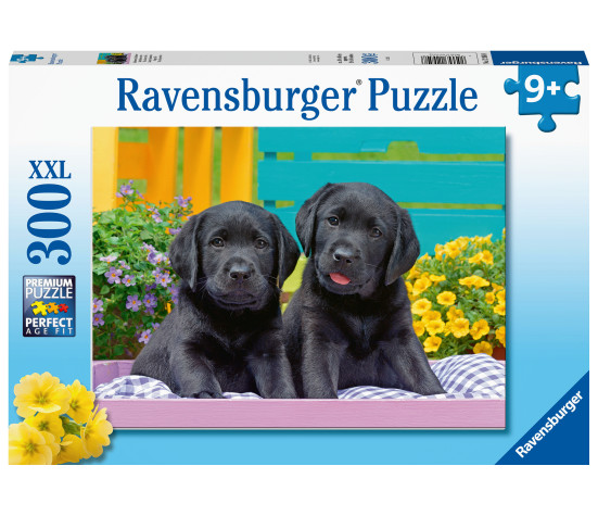 Ravensburger pusle 300 tk Kutsikad