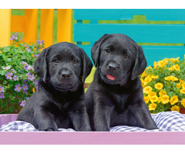 Ravensburger Puzzle 300 pc Puppies