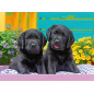 Ravensburger Puzzle 300 pc Puppies