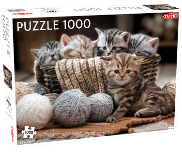 Tactic puzzle 1000 pc Cute Kittens