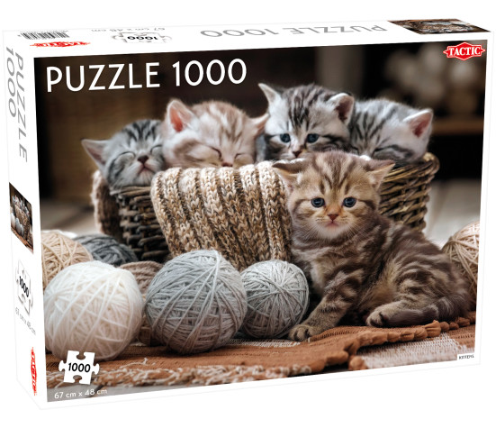 Tactic puzzle 1000 pc Cute Kittens