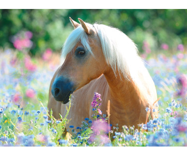 Ravensburger Puzzle 300 pc Horse in Flowers