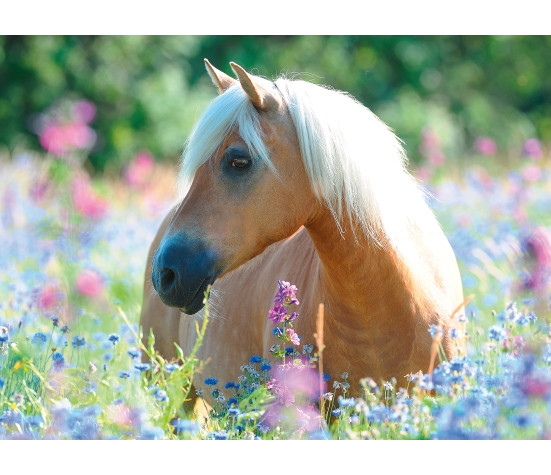 Ravensburger Puzzle 300 pc Horse in Flowers