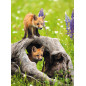 Ravensburger Puzzle 300 pc Curious Foxes