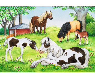 Ravensburger Puzzle 2x24 pc World of Horses