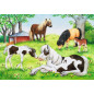 Ravensburger Puzzle 2x24 pc World of Horses