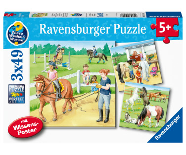 Ravensburger Puzzle 3x49 pc Horses