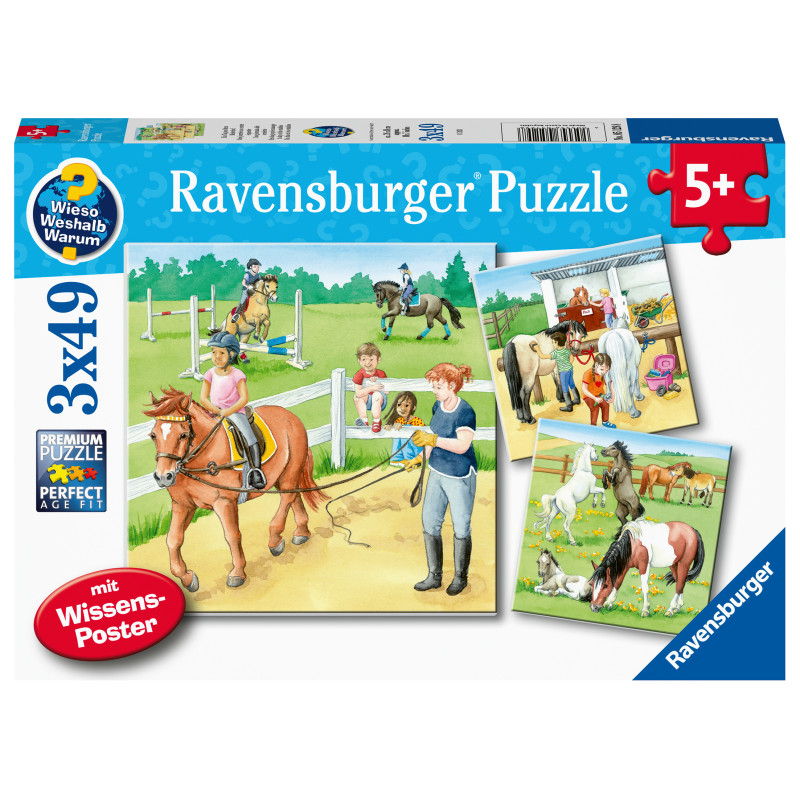 Ravensburger Puzzle 3x49 pc Horses