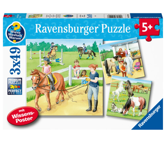 Ravensburger Puzzle 3x49 pc Horses