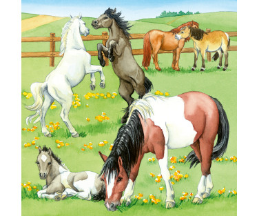 Ravensburger Puzzle 3x49 pc Horses