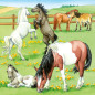 Ravensburger Puzzle 3x49 pc Horses