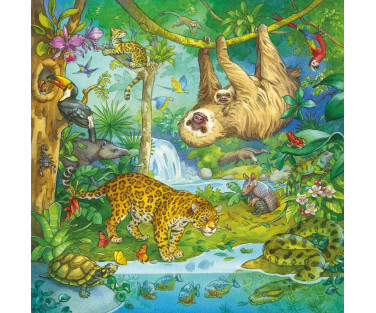 Ravensburger Puzzle 3x49 pc Jungle Fun