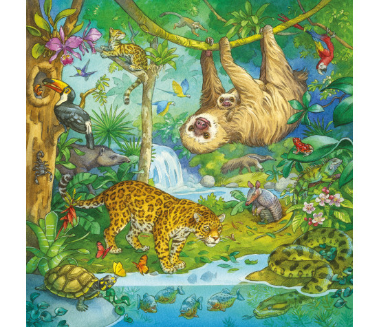 Ravensburger Puzzle 3x49 pc Jungle Fun