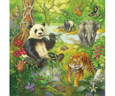 Ravensburger Puzzle 3x49 pc Jungle Fun