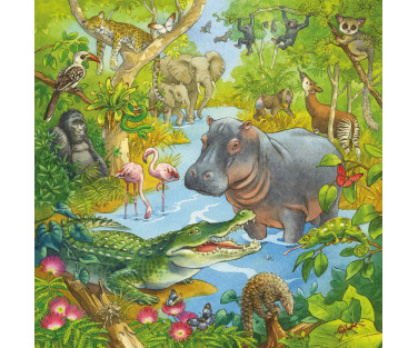 Ravensburger Puzzle 3x49 pc Jungle Fun