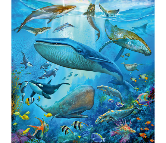 Ravensburger Puzzle 3x49 pc Ocean Life