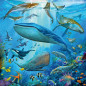 Ravensburger Puzzle 3x49 pc Ocean Life