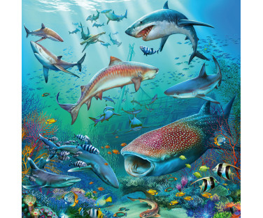 Ravensburger Puzzle 3x49 pc Ocean Life