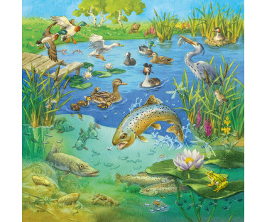 Ravensburger Puzzle 3x49 pc Animals