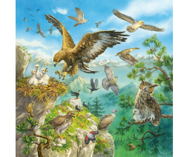 Ravensburger Puzzle 3x49 pc Animals