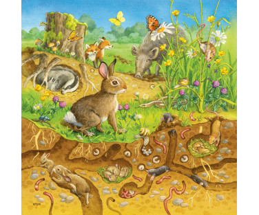 Ravensburger Puzzle 3x49 pc Animals