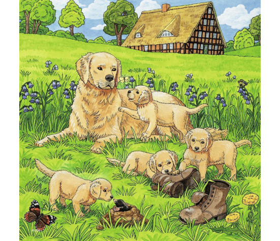 Ravensburger Puzzle 3x49 pc Cats and Dogs