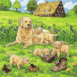 Ravensburger Puzzle 3x49 pc Cats and Dogs