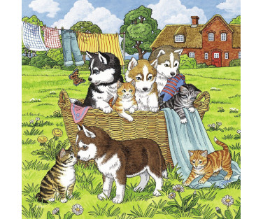 Ravensburger Puzzle 3x49 pc Cats and Dogs