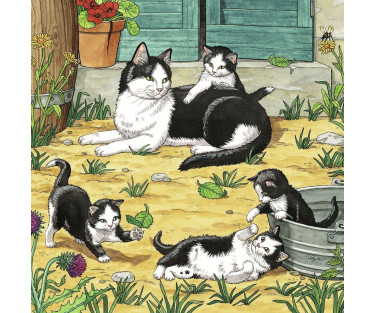 Ravensburger Puzzle 3x49 pc Cats and Dogs