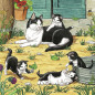 Ravensburger Puzzle 3x49 pc Cats and Dogs